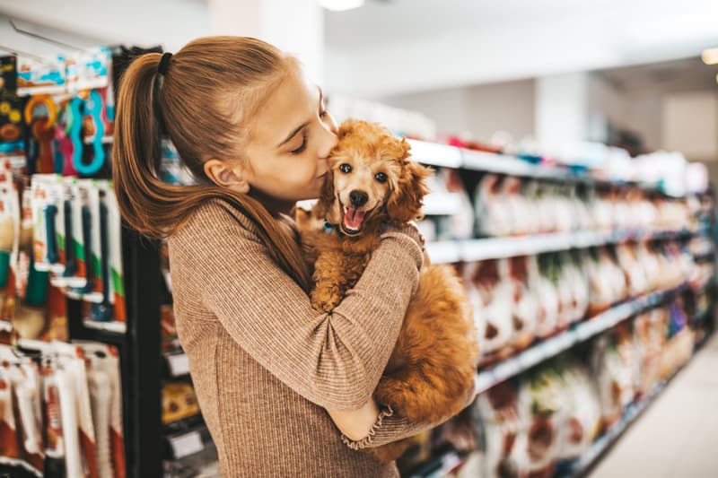  Te asesoramos sobre los cuidados de tu mascota